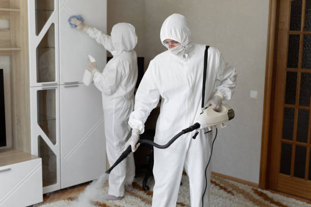 Best Industrial Mold Remediation in Hazard, KY